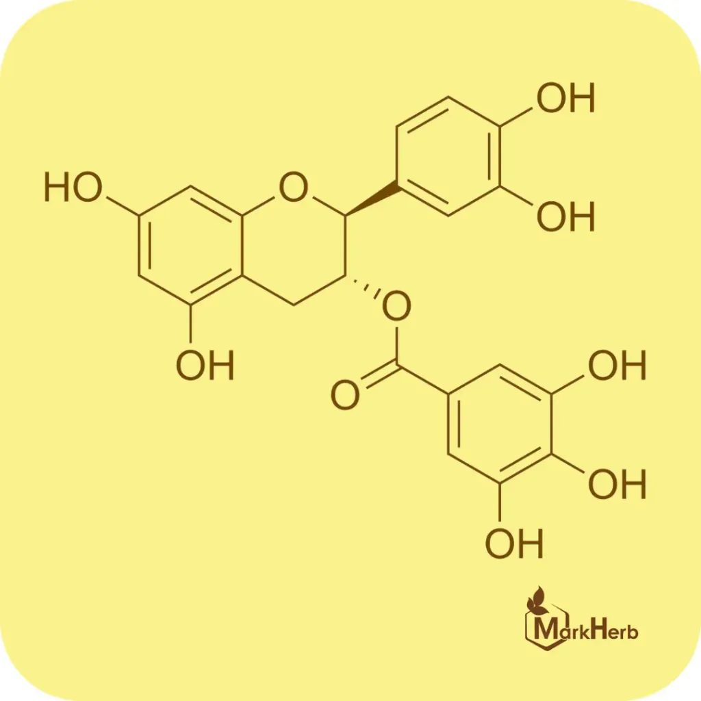 Catechin Gallate