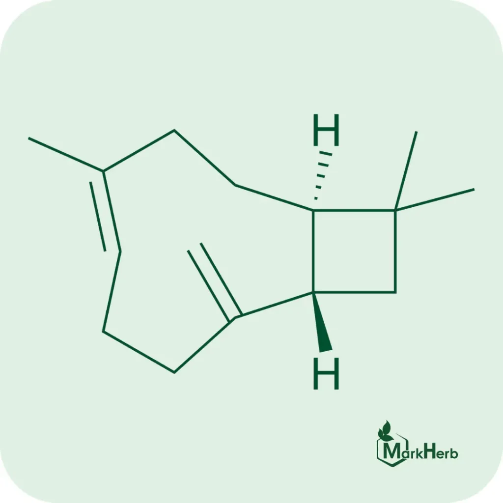 β-caryophyllene