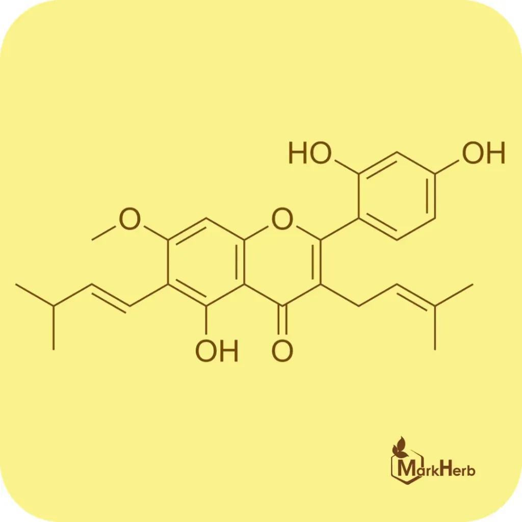 Artocarpin