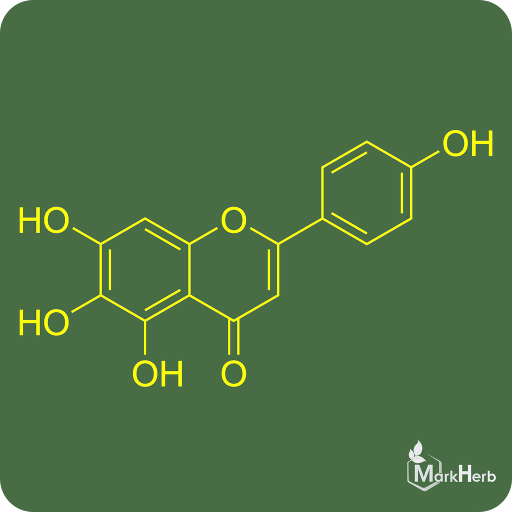 Scutellarein