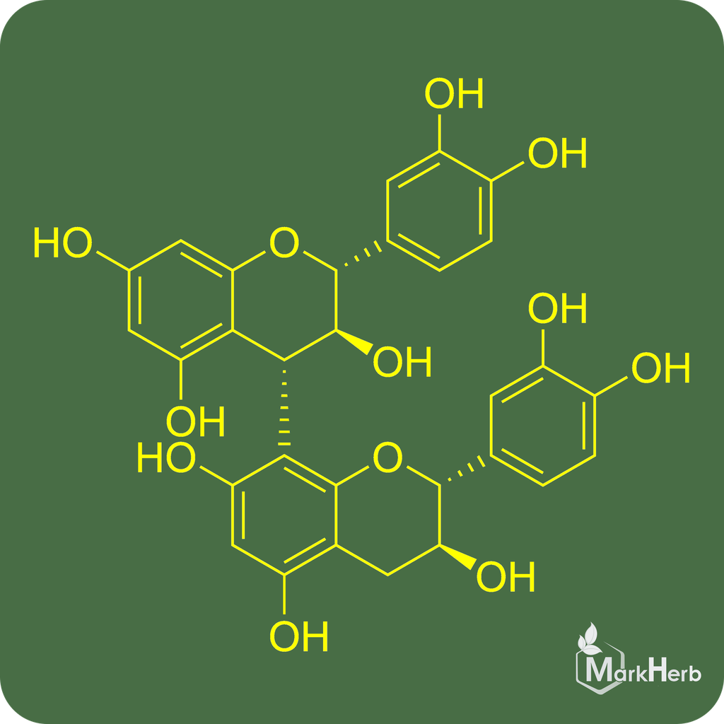 Procyanidin B3