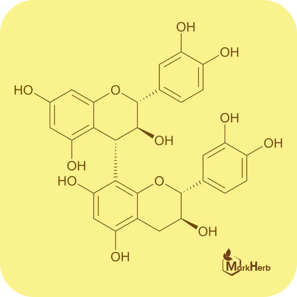 Procyanidin B3