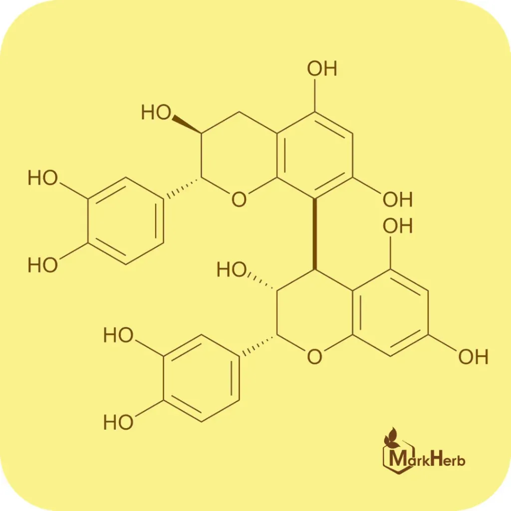 Procyanidin B1