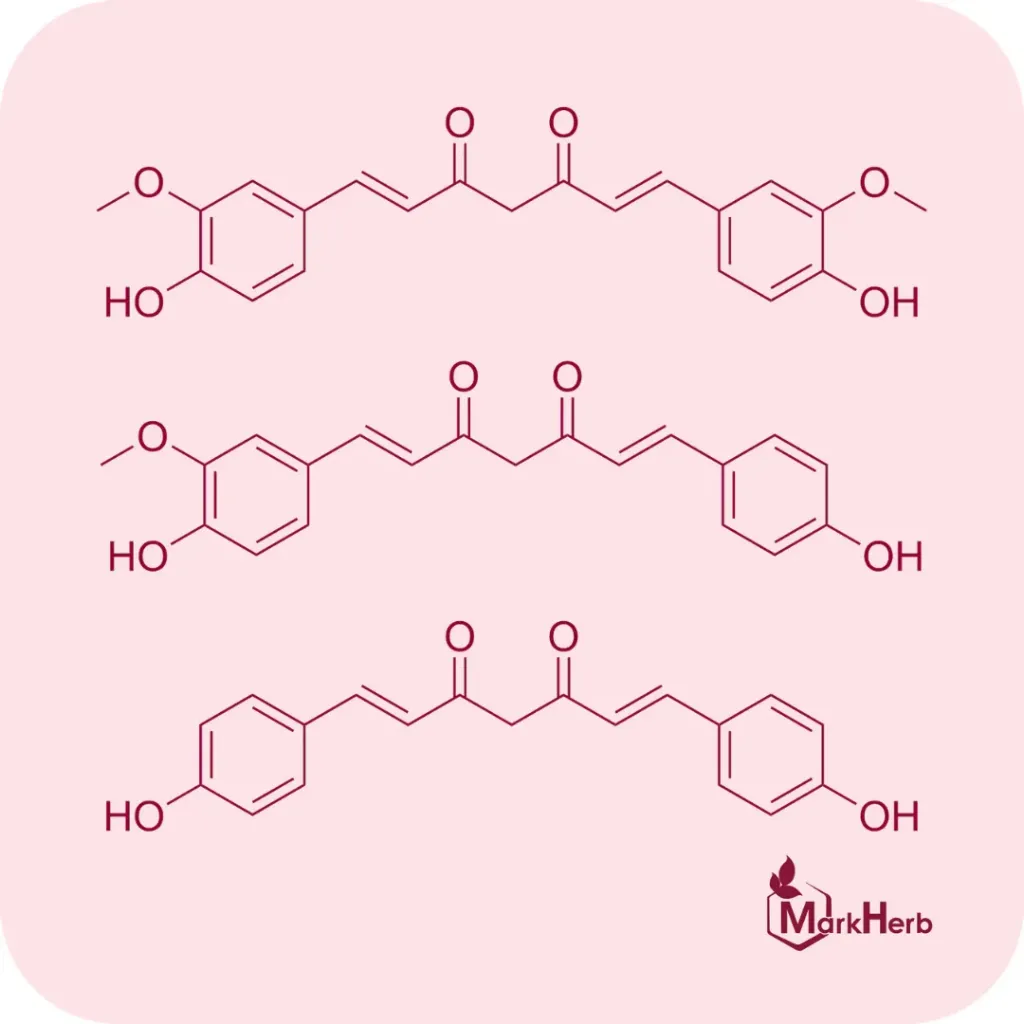 Curcuminoids 90%