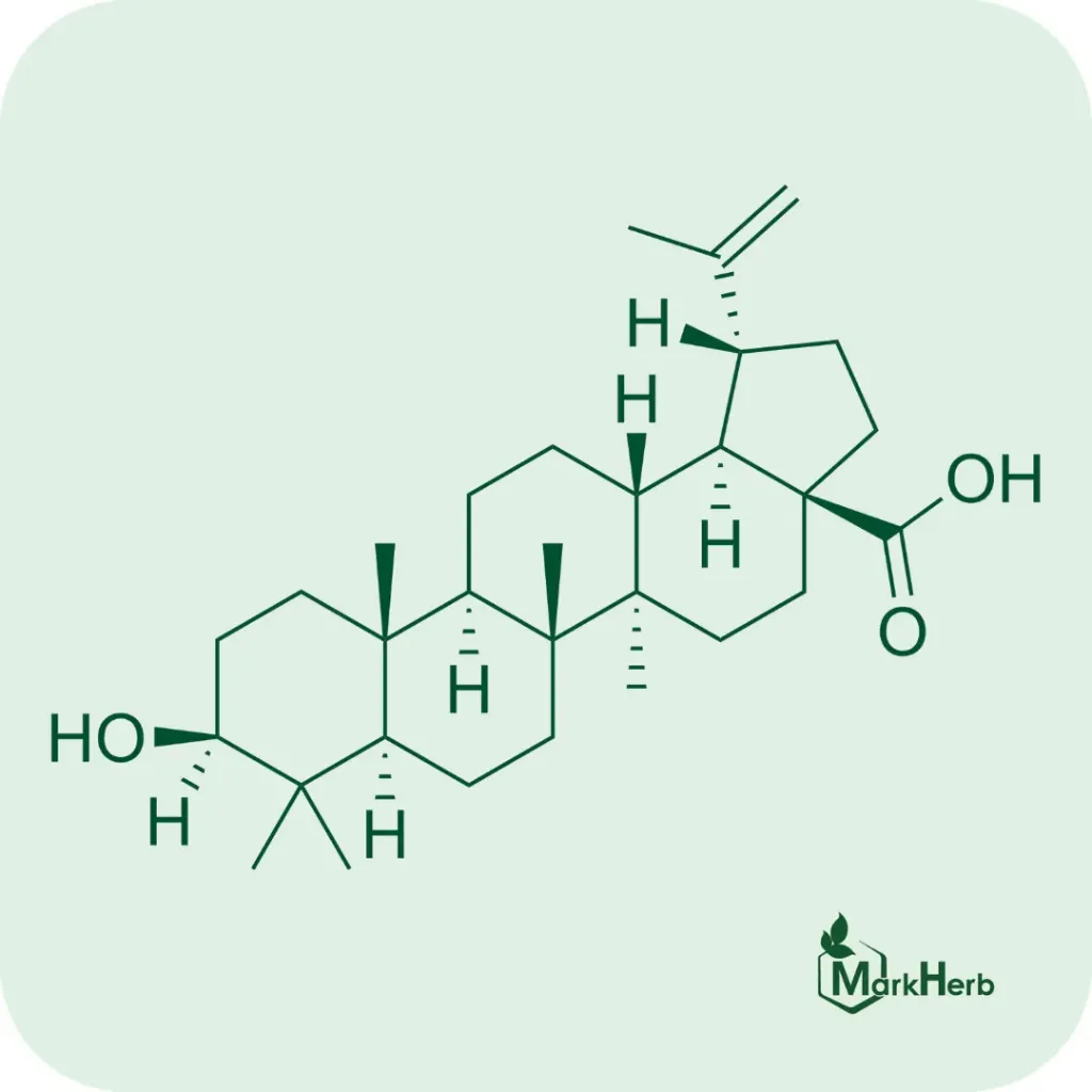Betulinic Acid
